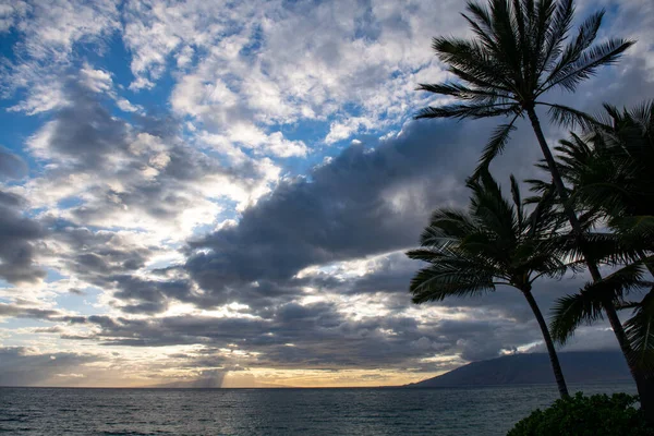 Kum, okyanus, palmiye yaprakları, palmiye ağaçları ve mavi gökyüzü olan tropik deniz plajı. Yaz sahili geçmişi.