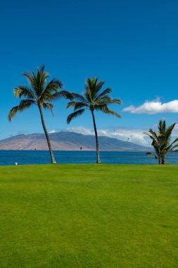 Kum, okyanus, palmiye yaprakları, palmiye ağaçları ve mavi gökyüzü olan tropik deniz plajı. Yaz sahili geçmişi.