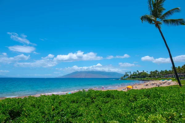 Shore dream tranquility. Scenic landscape view of beach on the Hawaiian Island of Maui. — Stock Photo, Image