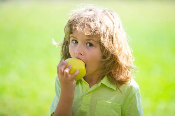 Молодой деревенский мальчик ест яблоко в яблоневом саду или на ферме. — стоковое фото