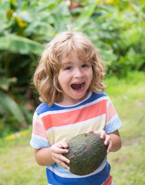 Grabben äter och njuter av en avokado på en natur bakgrund. Hälsosam mat för barn koncept. — Stockfoto