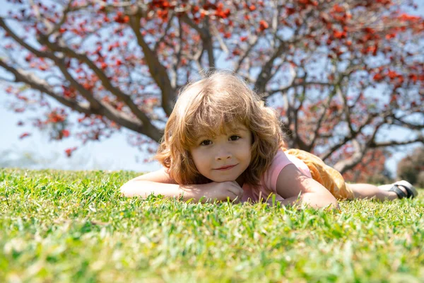 Barnet ligger i gräset i sommar naturpark. Barnens ansikte, lilla pojkens porträtt. — Stockfoto