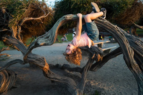 Kid climbing tree. Caucasian boy happily lying upside down in a tree hugging a big branch. — Stock Photo, Image