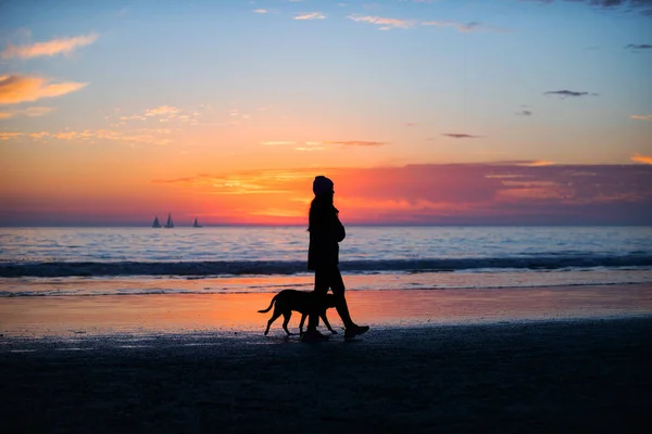Mujer paseando con el perro en la playa. Hermoso amanecer, sol, cielo azul con nubes y el paisaje marino. — Foto de Stock