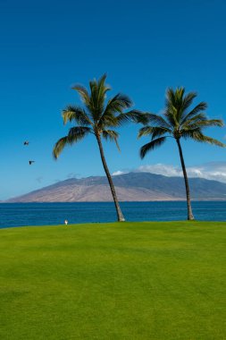 Yaz tatilinde seyahat, güneşli gökyüzü ile kumsalda konsept. Denizde tropik tatil manzarası. Deniz Burnu Doğası.