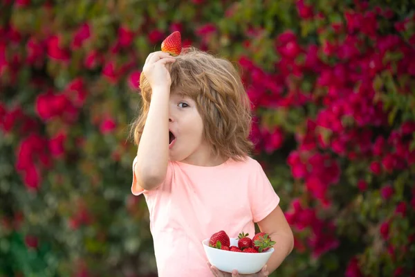 Šťastný chlapeček jí jahody. Krásné zábavné dítě jíst jahody. — Stock fotografie