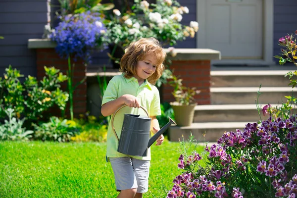Мила дитина поливає рослини в саду на задньому дворі з лійкою . — стокове фото