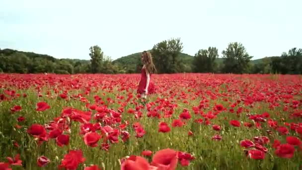 Follow me concept. Woman in flowers. Spring girl in flower poppy field. — Vídeo de stock