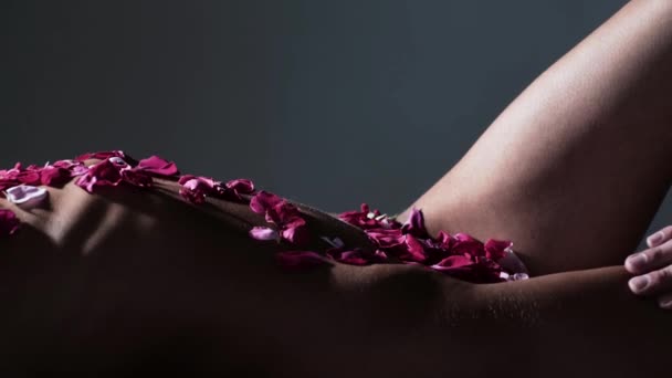 Couple roleplay. Sensual seductive. Roses sex foreplay. Virgin woman. — Αρχείο Βίντεο