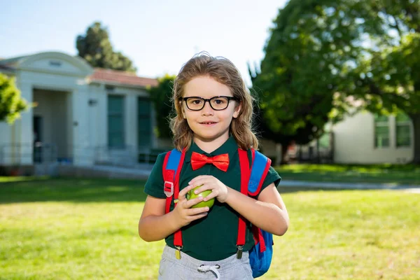 Concepto de niño escolar. Alumno lindo, niño en uniforme escolar con mochila al aire libre. Retrato de colegial nerd. —  Fotos de Stock