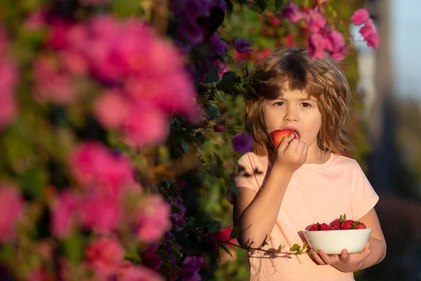 Close up portrait of child holding a strawberry. Happy child eats strawberries in the summer outdoor. — Stock Photo, Image