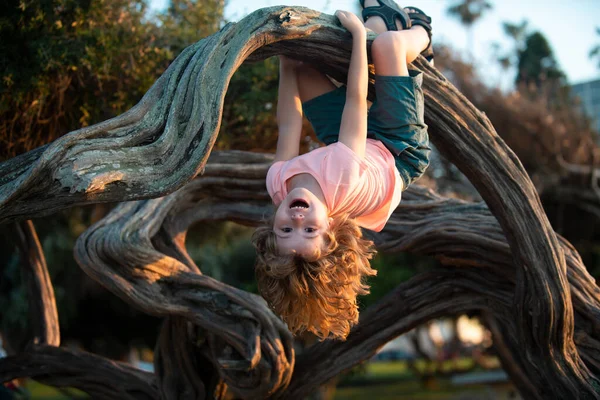 Enfant grimpant à l'arbre. Sourire drôle enfant clim arbre dans le jardin. — Photo