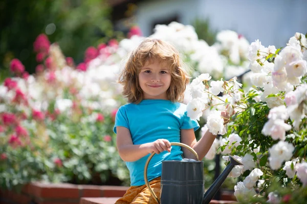 Χαριτωμένο μικρό παιδί αγόρι πότισμα φυτά με πότισμα μπορεί στον κήπο. Το παιδί βοηθάει τους γονείς να καλλιεργούν λουλούδια στην αυλή. Δραστηριότητες με παιδιά σε εξωτερικούς χώρους. — Φωτογραφία Αρχείου