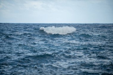 Hawaii 'de tropik mavi okyanus. Arka planda temiz ve berrak sularda yaz denizi. Dalgalar konsept tasarımı.