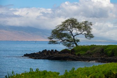 Plaj ve tropikal deniz. Renkli okyanus plajı. Berrak turkuaz su manzarası, Maldivler veya Hawaii.