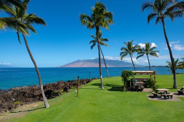 Kum, okyanus, palmiye yaprakları, palmiye ağaçları ve mavi gökyüzü olan tropik deniz plajı. Yaz sahili geçmişi.