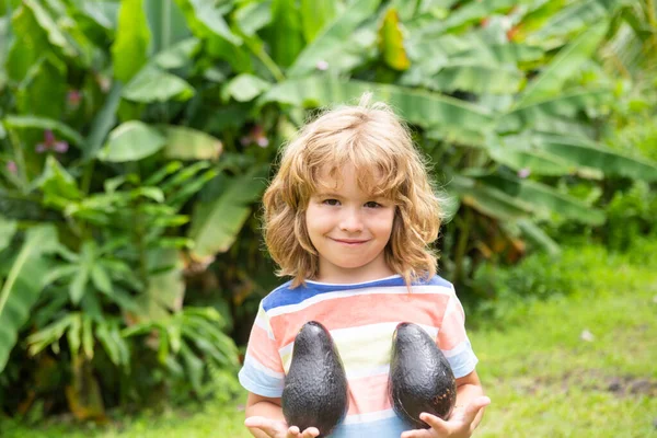 Niño feliz mostrando aguacate en el jardín de verano. Alimentos saludables para niños. —  Fotos de Stock