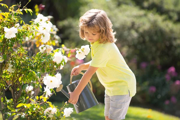 정원에 물이든 깡통으로 화분 과 장미에 물을 주는 귀여운 소년. 여름 티셔츠를 입고 웃으며 즐거운 시간을 보내는아이. 야외에서 어린이들 과함 께 한 활동. — 스톡 사진