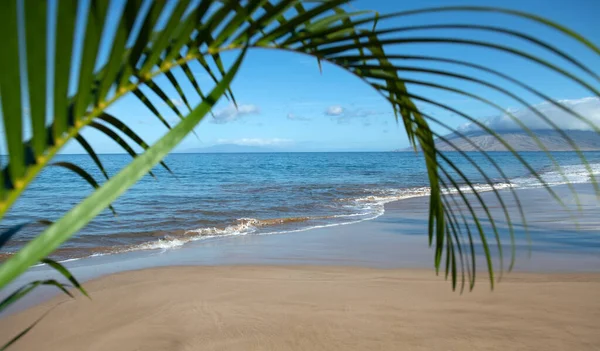 Idyllic scene beach in Thailand. Tropical blue sea and a sand beach background. Green leaves of palm tree. — Stock Photo, Image