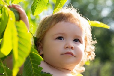 Yeşil yapraklı şirin bir erkek bebeğin portresi. Kafkas çocuk yüzünü kapatın. Doğa parkındaki komik çocuğun yakın plan başı..