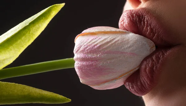 Close-up perfecte natuurlijke lip met make-up, vrouwelijke mond. Zuigen likken zoenen concept. Lekker sexy sensuele volle lippen. Macro lippen en mond. Mooie tedere lippen. — Stockfoto