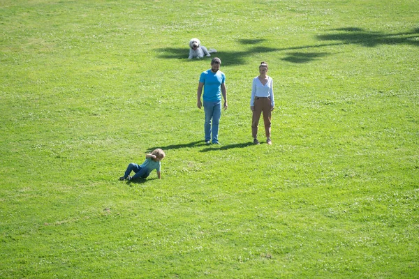 Vista Arial de pais e filhos em férias brincando juntos ao ar livre. Tempo de lazer familiar. — Fotografia de Stock