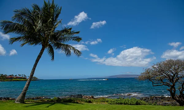 夏威夷海滩背景。享受夏威夷的天堂。全景热带景致的夏季风景与棕榈树.奢华的旅行假期。异国情调的海滩风景神奇的自然，放松自然. — 图库照片