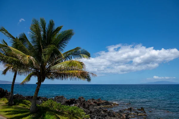 Paisaje tranquila playa. Hawai fondo, paraíso tropical hawaiano con palmeras. —  Fotos de Stock