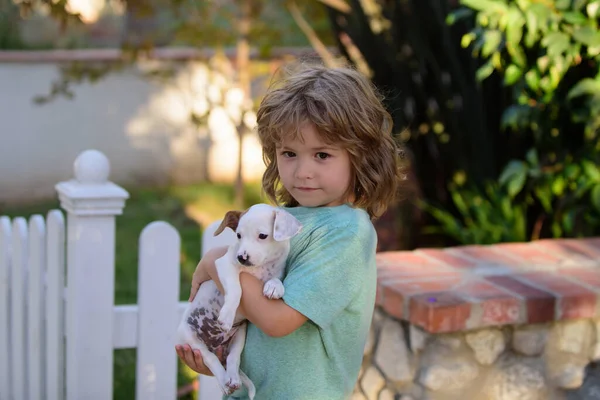 Child and pet dog playing at backyard lawn. — Stock Photo, Image