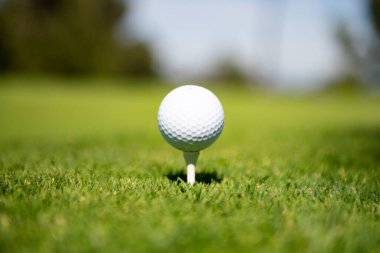 Golf topuyla birlikte yeşil çimenler güneş ışığında yumuşak odak noktasında. Golf kulübü konsepti için golf sahası.