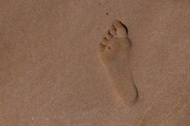 Kumsalda adımlar kumsalda.