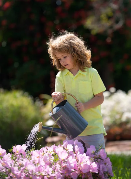 Child watering a plant with watering can. — Stock Photo, Image