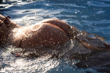 Bikini girl with perfect body in water. Female wet buttock with drops. Natural butt, fit sporty cropped body. Summer holiday with sexy bikini model.