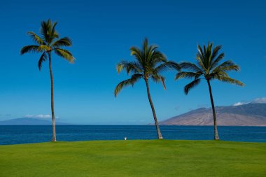 Tropik plaj geçmişi. Sakin turkuaz dalgalı kumsal. Maldivler, mükemmel manzara, kopyalama alanı.