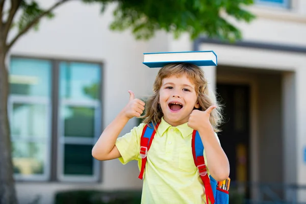 Porträt eines netten Schuljungen mit Brille und einem Hemd mit Buch. Schulkind-Nerd im Freien. — Stockfoto