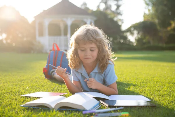 Маленький хлопчик читає книжку під час літнього заходу сонця. Підготовка до школи та міжнародного дня грамотності. Повернутися до концепції школи . — стокове фото