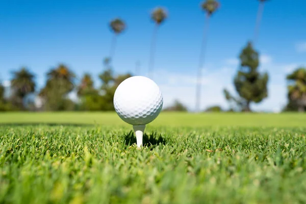 Golfbal in het gras. Golfbal is op tee op groen gras achtergrond. — Stockfoto