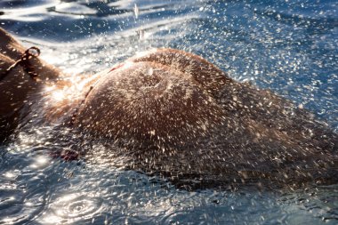 Sexy curves girl butt in bikini in pool. Sexy buttocks. Young woman shows a beautiful ass buttocks in water. Summer background.