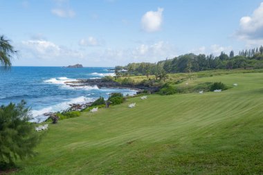 Aloha Hawaii 'de güzel bir sahil. Palmiyeli tropik plaj. Tatil ve tatil konsepti. Tropik plaj.