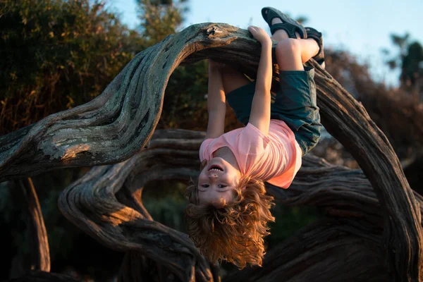 Enfant grimpant à l'arbre. Enfant mignon grimpant à l'arbre dans le parc, concept d'enfance heureuse. — Photo