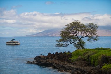 Peyzaj sükunet plajı. Hawaii arka planı, tropik Hawaii cenneti.
