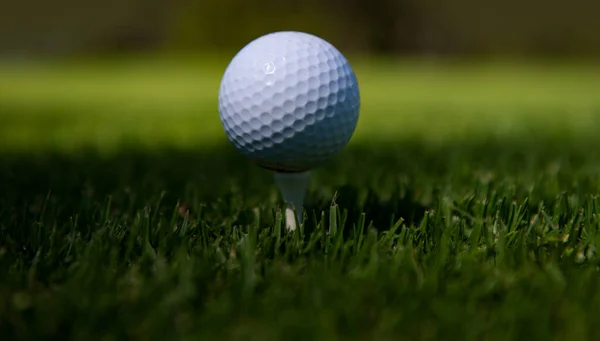 Feche a bola de golfe no campo de grama verde. Clube de golfe. — Fotografia de Stock