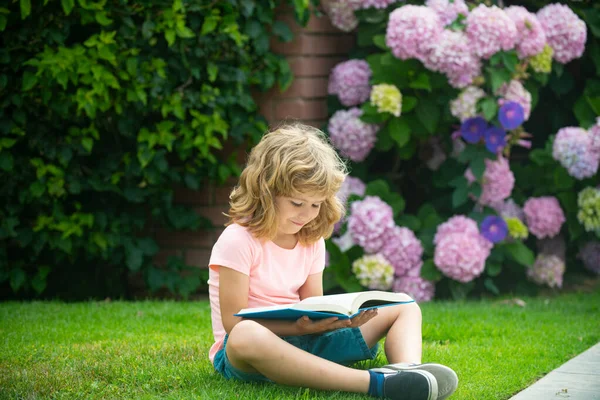 Porträtt av lycklig pojke med bok i parken. Förskolebarn. Liten unge läser bok i trädgården.Sommar semester läxor. Förskoleelev utomhus. Söt liten pojke från grundskolan. — Stockfoto