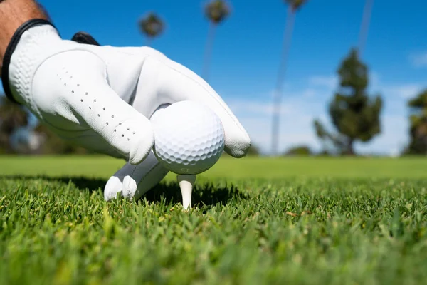 Feche a bola de golfe no campo de grama verde. Clube de golfe. — Fotografia de Stock