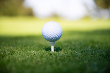 Golf topuyla birlikte yeşil çimenler güneş ışığında yumuşak odak noktasında. Golf kulübü konsepti için golf sahası.