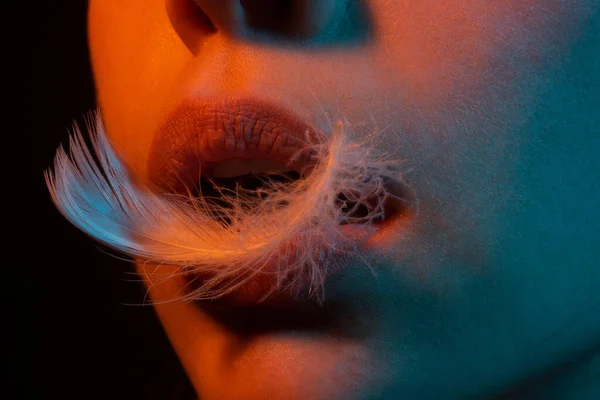 Bibir seksi. Tutup bibir seksi gemuk dengan Angel Feather. Perawatan bibir dan kecantikan. — Stok Foto