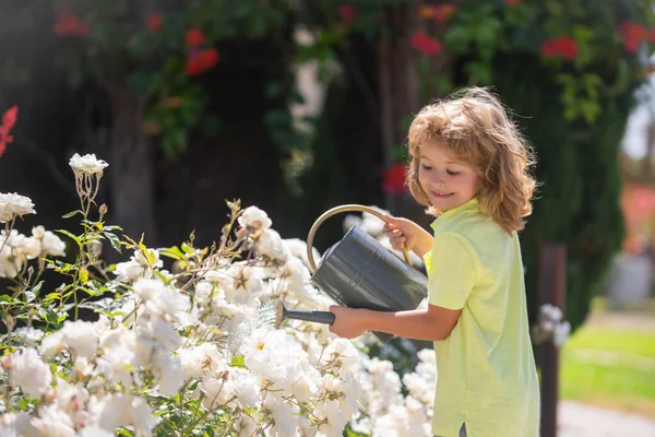 Дитинство американських дітей. Дитина поливає квіти в саду. Домашнє городництво — стокове фото