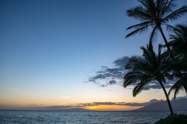 Tropik plaj geçmişi. Sakin turkuaz dalgalı kumsal. Maldivler, mükemmel manzara, kopyalama alanı.