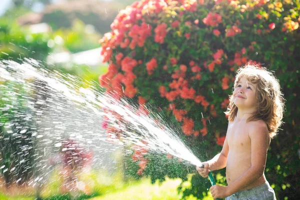 Niño regando las plantas, desde el spray de manguera con manguera de agua en el jardín en el patio trasero de la casa en una noche de verano. —  Fotos de Stock