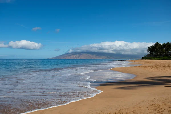 Piękna plaża z palmami i niebem. Wakacyjne wakacje podróży koncepcja tła. Hawajska rajska plaża. Luksusowe podróże wakacje tło. — Zdjęcie stockowe